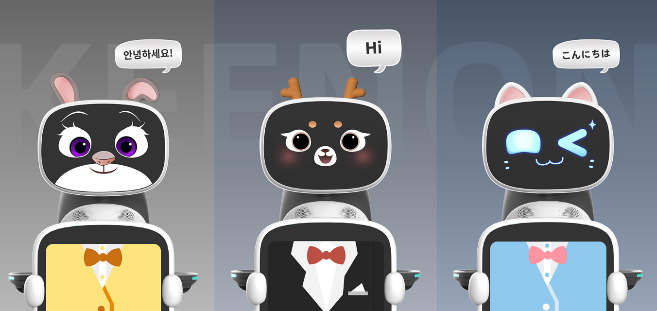 Opciones de personalización del DINERBOT T10